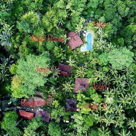 Villa Mahadevi Jungle Retreat Joglo 1 Ubud  Luaran gambar