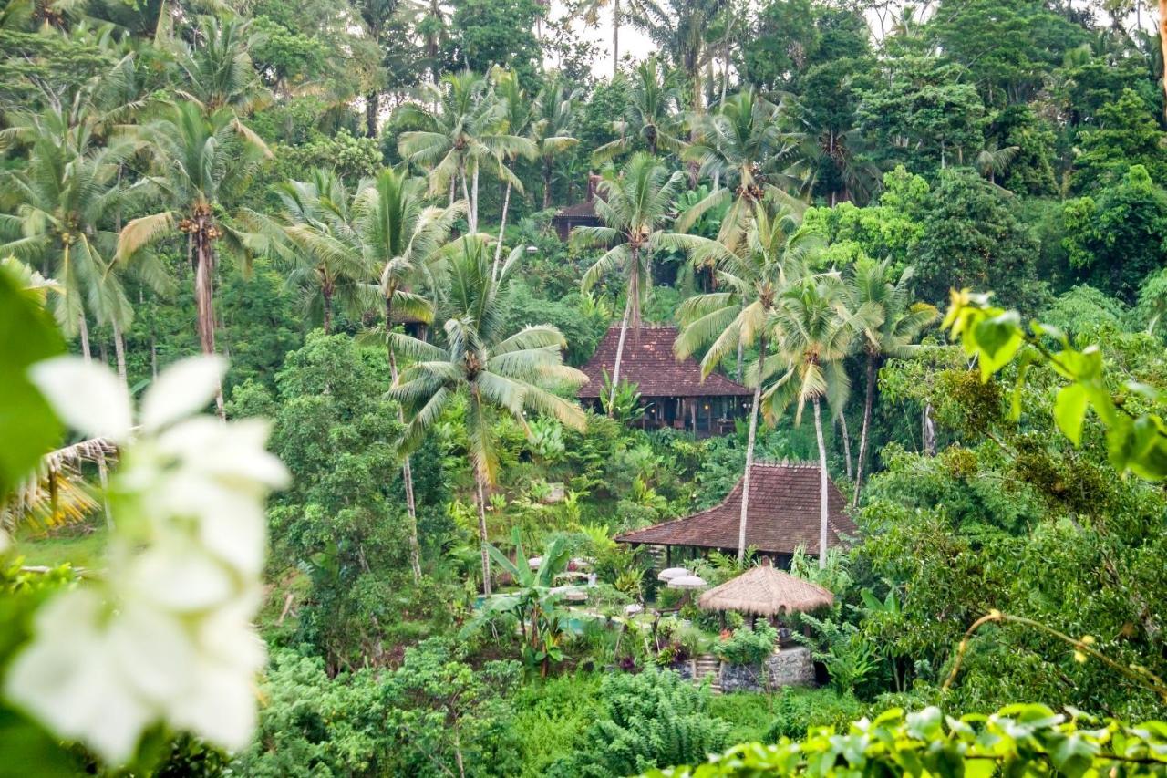 Villa Mahadevi Jungle Retreat Joglo 1 Ubud  Luaran gambar