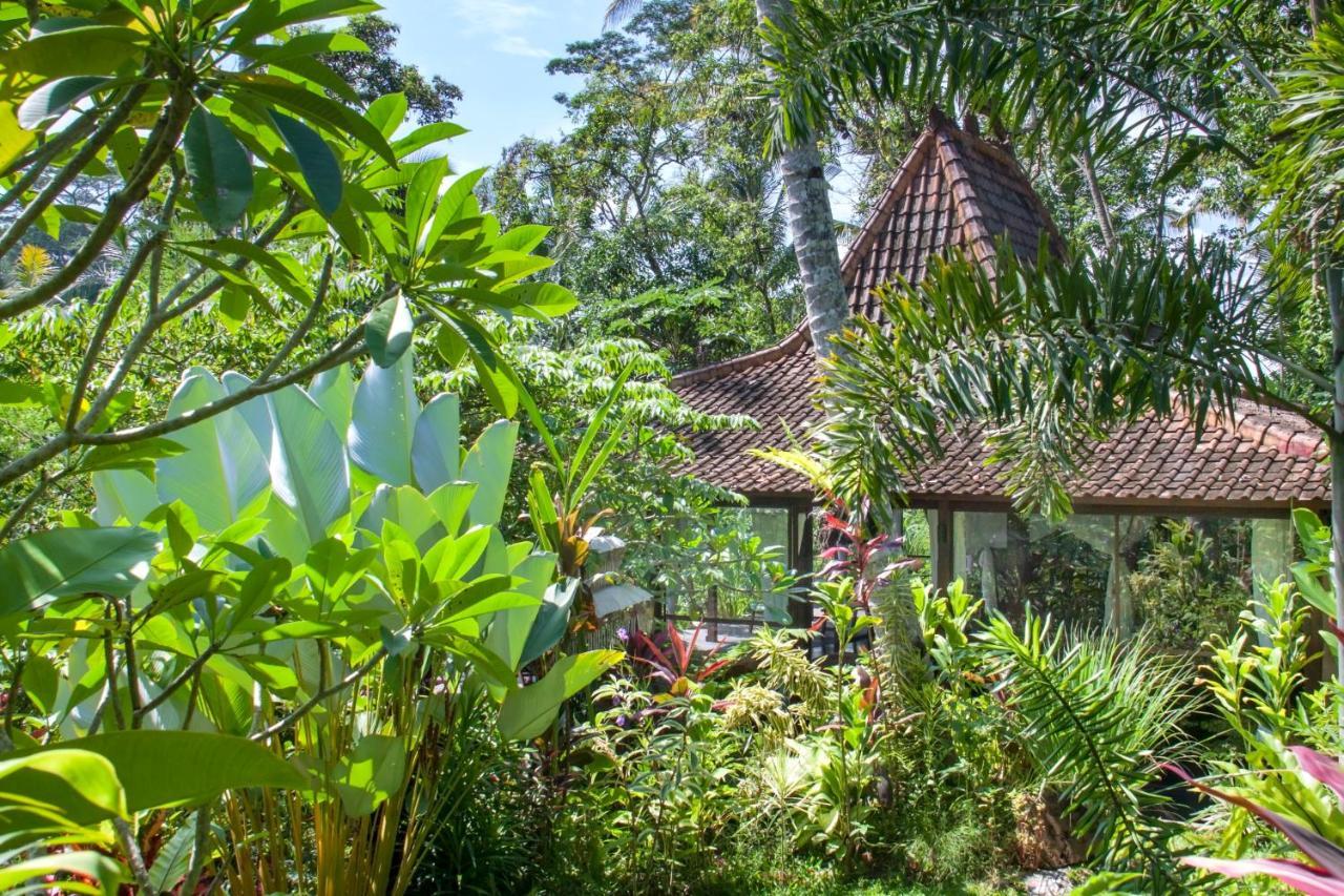 Villa Mahadevi Jungle Retreat Joglo 1 Ubud  Luaran gambar